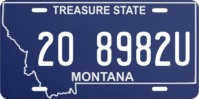 MT license plate 208982U