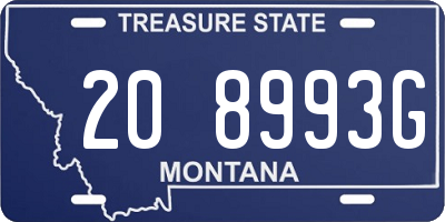 MT license plate 208993G