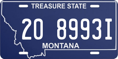 MT license plate 208993I
