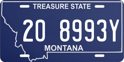 MT license plate 208993Y