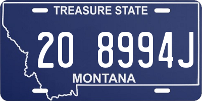 MT license plate 208994J
