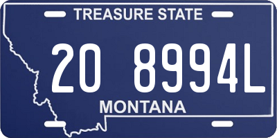 MT license plate 208994L