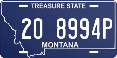 MT license plate 208994P