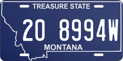 MT license plate 208994W