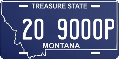MT license plate 209000P