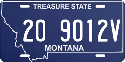 MT license plate 209012V