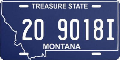 MT license plate 209018I