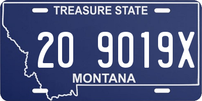 MT license plate 209019X