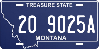 MT license plate 209025A
