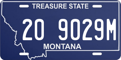 MT license plate 209029M