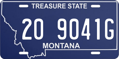MT license plate 209041G