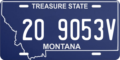 MT license plate 209053V