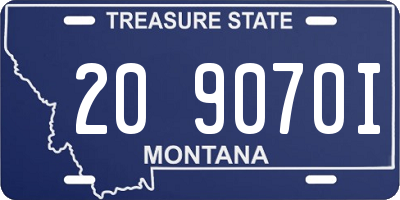MT license plate 209070I