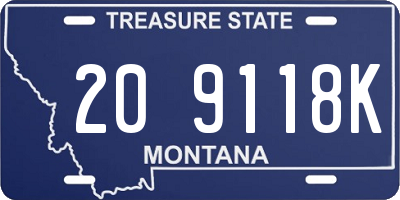 MT license plate 209118K