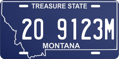 MT license plate 209123M