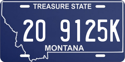MT license plate 209125K