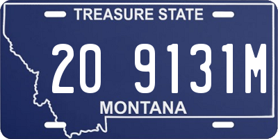 MT license plate 209131M
