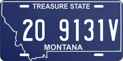 MT license plate 209131V