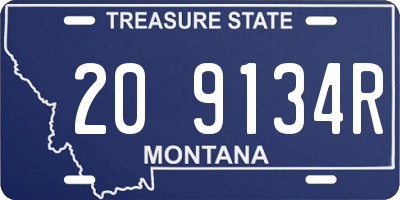 MT license plate 209134R
