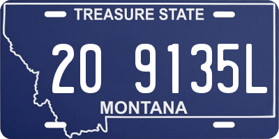 MT license plate 209135L