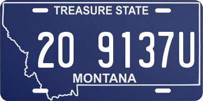 MT license plate 209137U