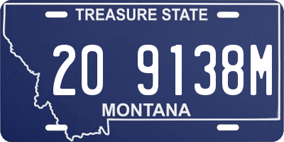 MT license plate 209138M