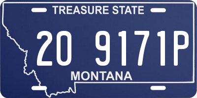 MT license plate 209171P