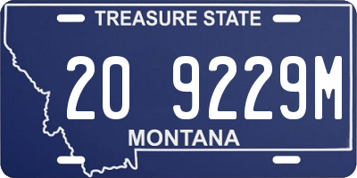 MT license plate 209229M