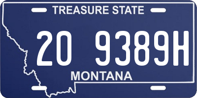 MT license plate 209389H