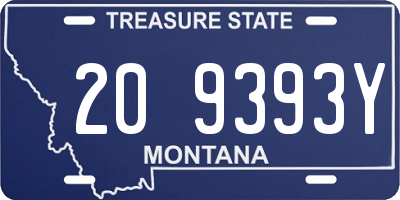 MT license plate 209393Y