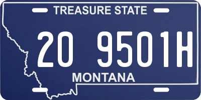 MT license plate 209501H
