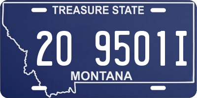 MT license plate 209501I