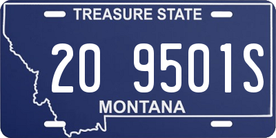 MT license plate 209501S