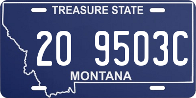 MT license plate 209503C