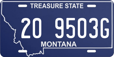 MT license plate 209503G