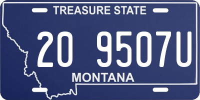 MT license plate 209507U