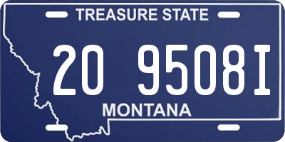 MT license plate 209508I