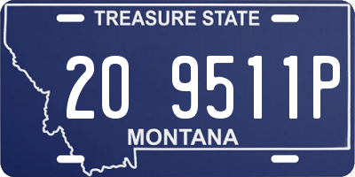 MT license plate 209511P