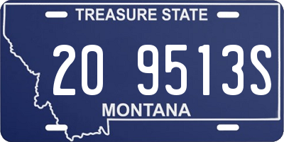 MT license plate 209513S