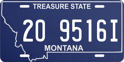 MT license plate 209516I