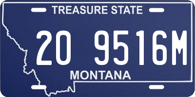 MT license plate 209516M