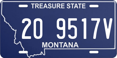 MT license plate 209517V