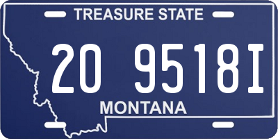 MT license plate 209518I