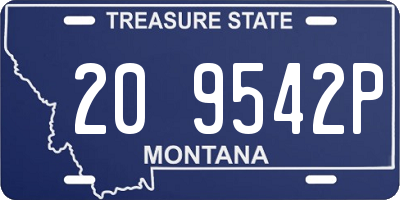MT license plate 209542P