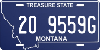 MT license plate 209559G