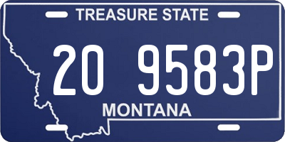 MT license plate 209583P