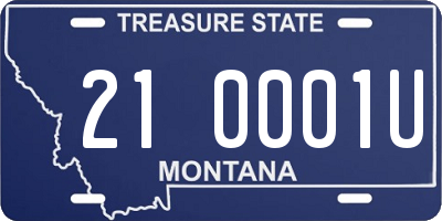 MT license plate 210001U