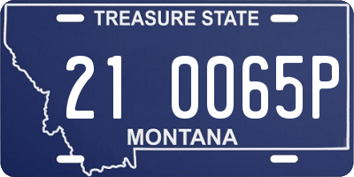 MT license plate 210065P