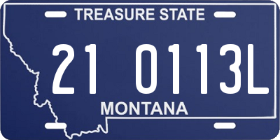 MT license plate 210113L