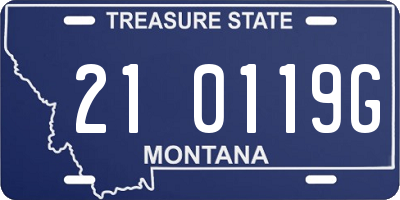 MT license plate 210119G